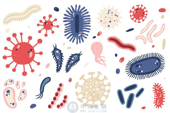 微生物是什么？哪些營養(yǎng)物質促進微生物生長繁殖？